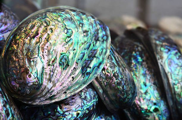 Abalone Jewelry