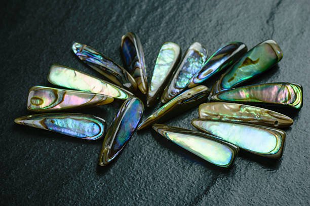 Abalone Jewelry